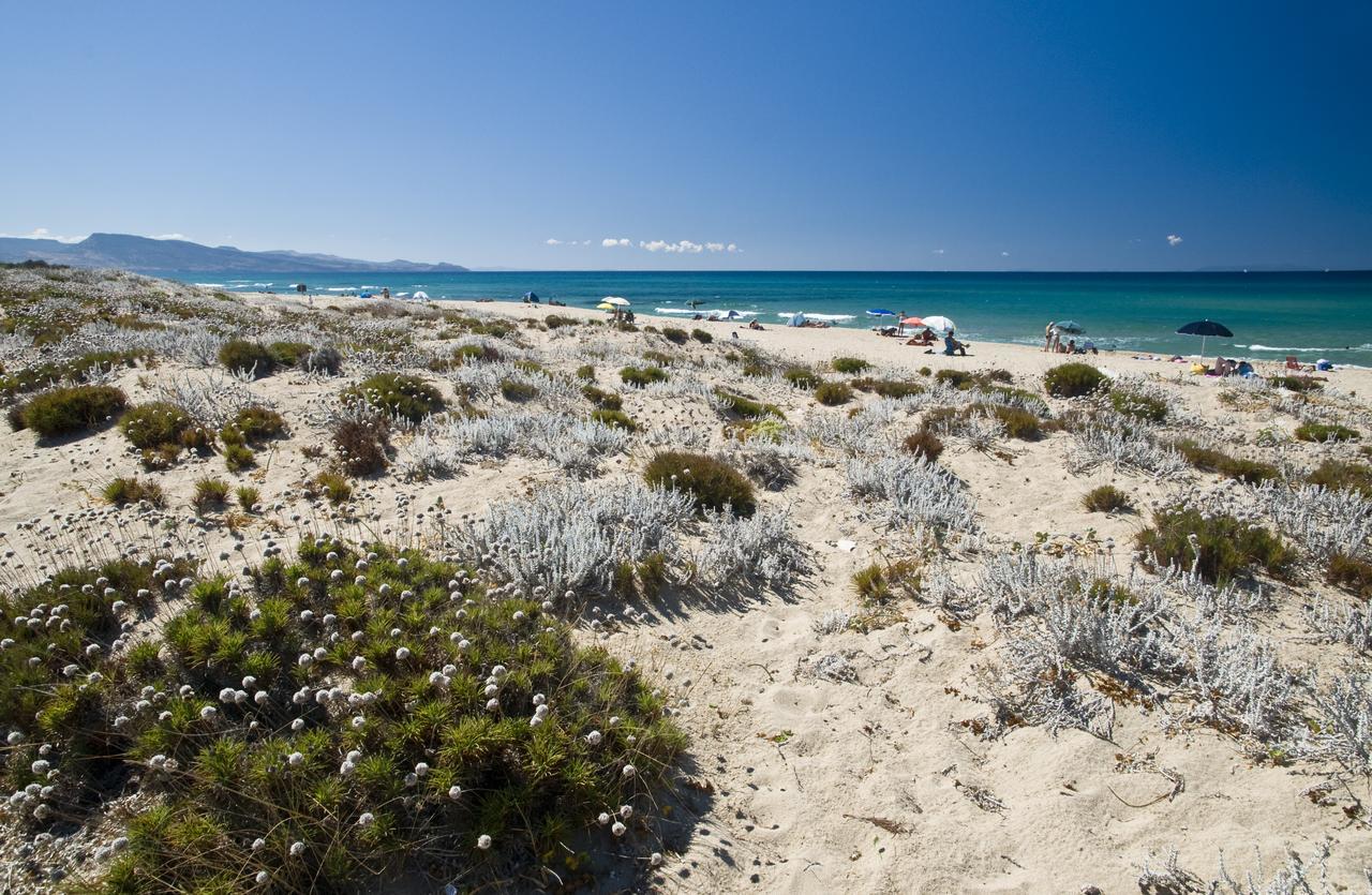 Camping Baia Paradiso Badesi Εξωτερικό φωτογραφία