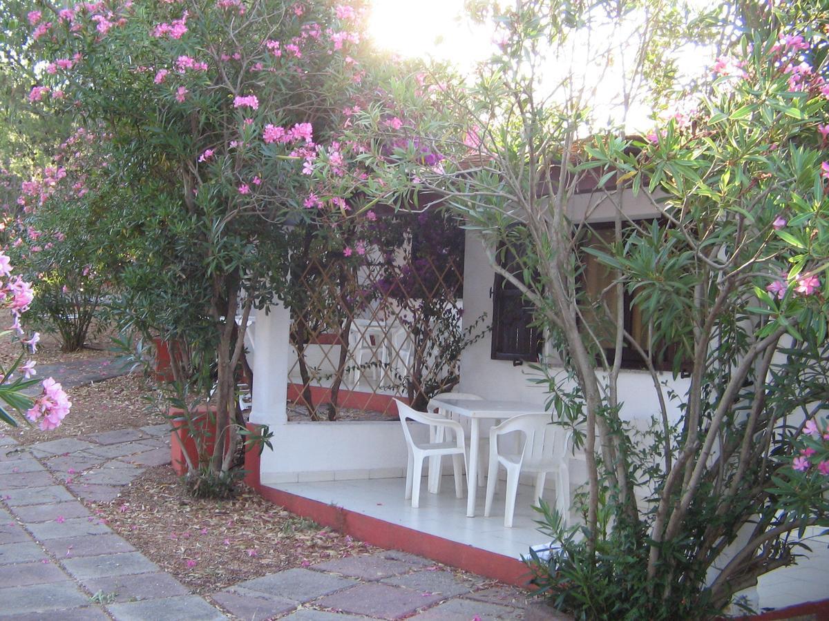 Camping Baia Paradiso Badesi Εξωτερικό φωτογραφία